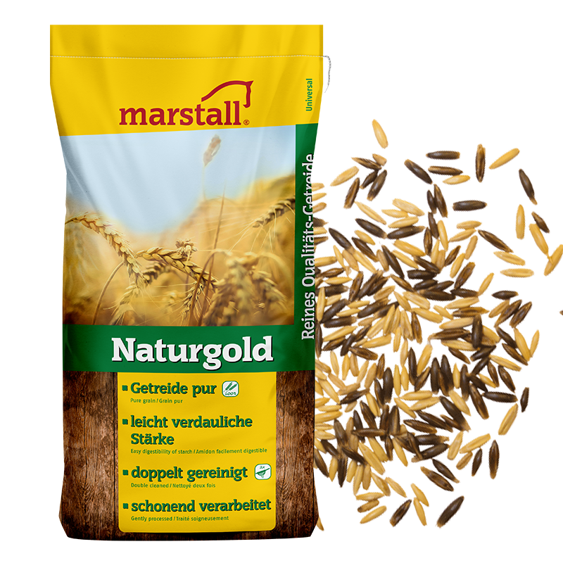 Naturgold Schwarz-Gold Hafer (Ganz)