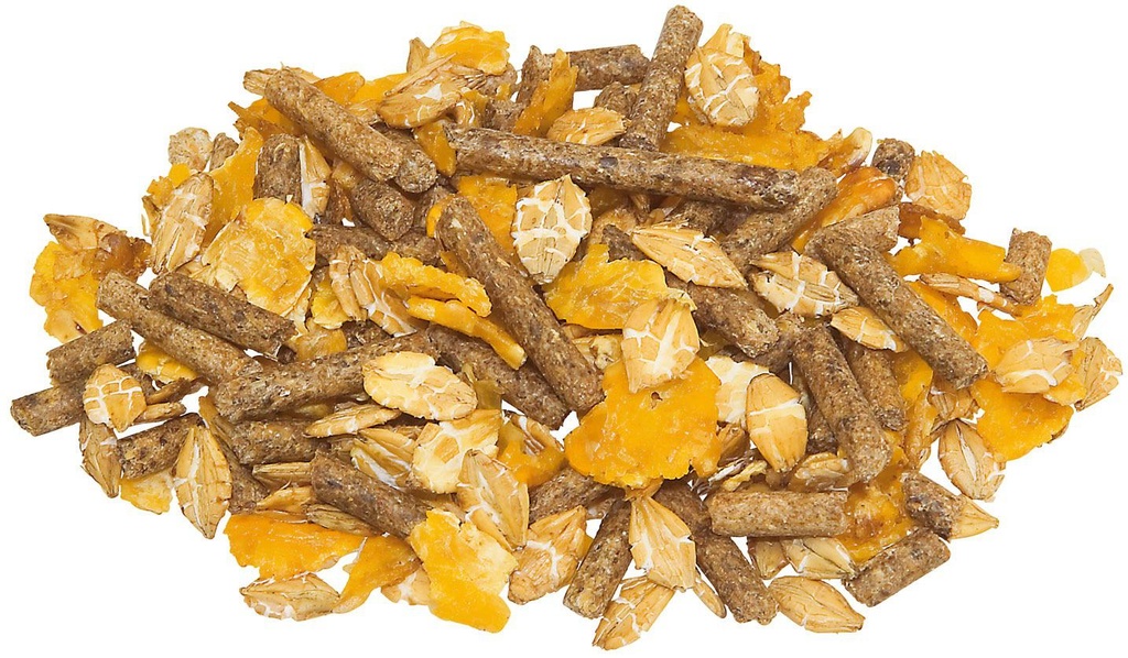 Freizeit_Futter