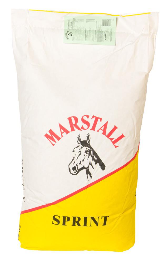 Sprint_20kg