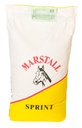 Sprint_20kg