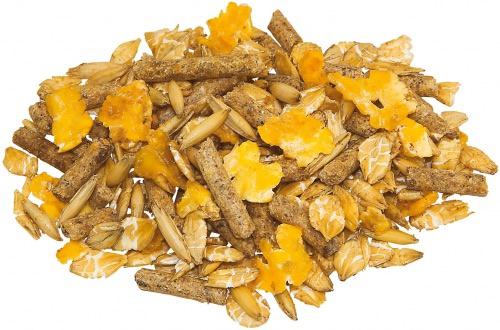 Fohlenmuesli_Futter