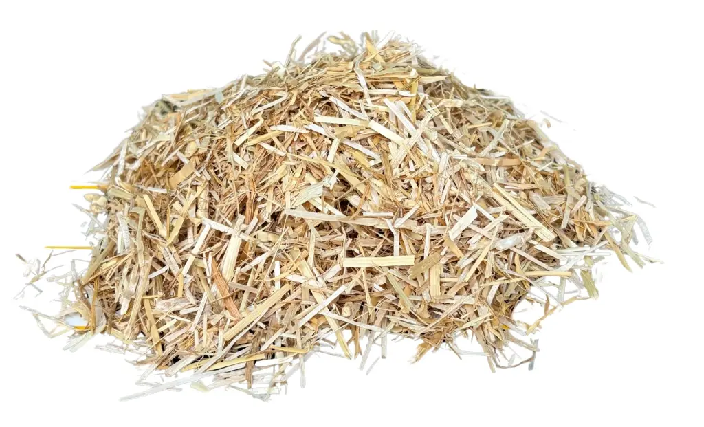 Design ohne Titel (8).webp