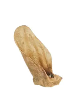 Design ohne Titel (25).webp