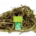rumiluz_bio.webp