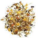 8f17a185-0db3-40a1-a5af-3ea2d0f884e5.webp