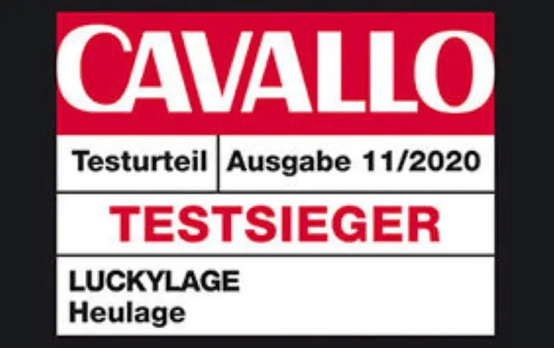 Luckylage Heulage Testsieger.webp