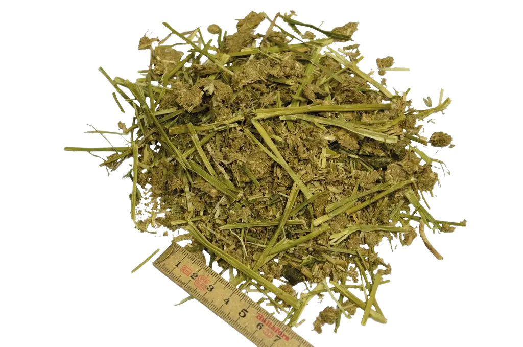ProcaLuz
