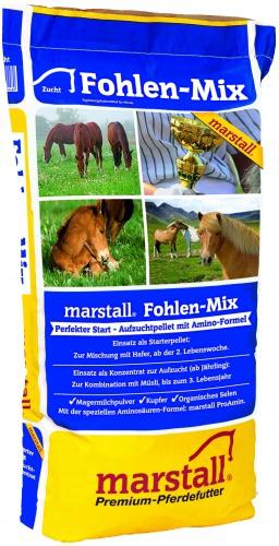 Fohlen-Mix
