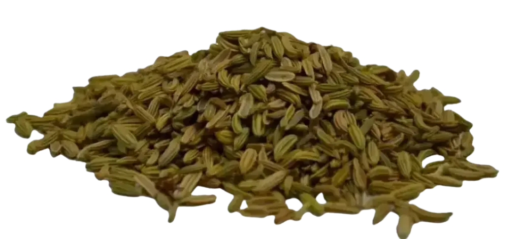Graines de fenouils entiers (Fenchelsamen ganz)