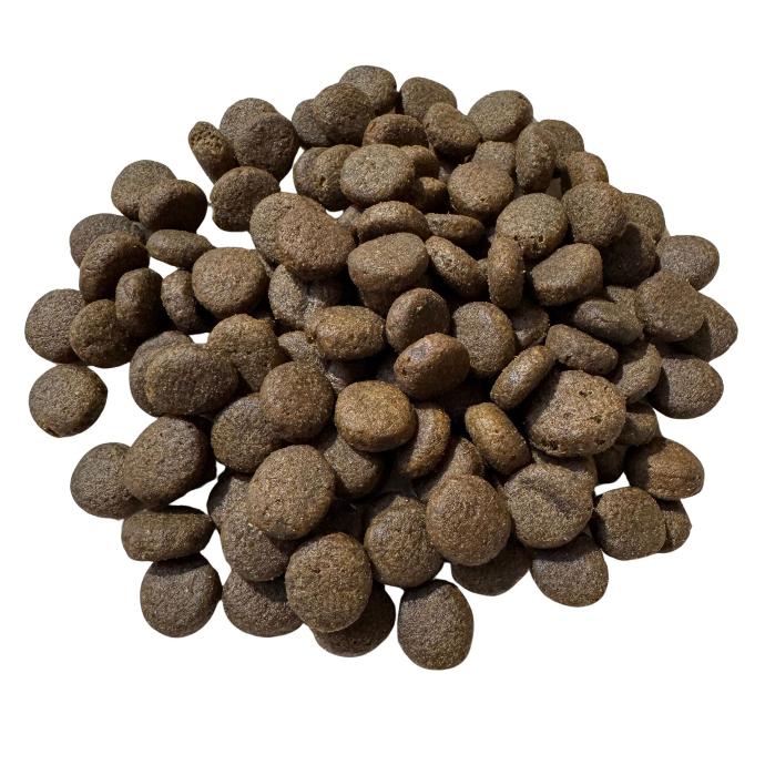 Dog Allergiker Premium