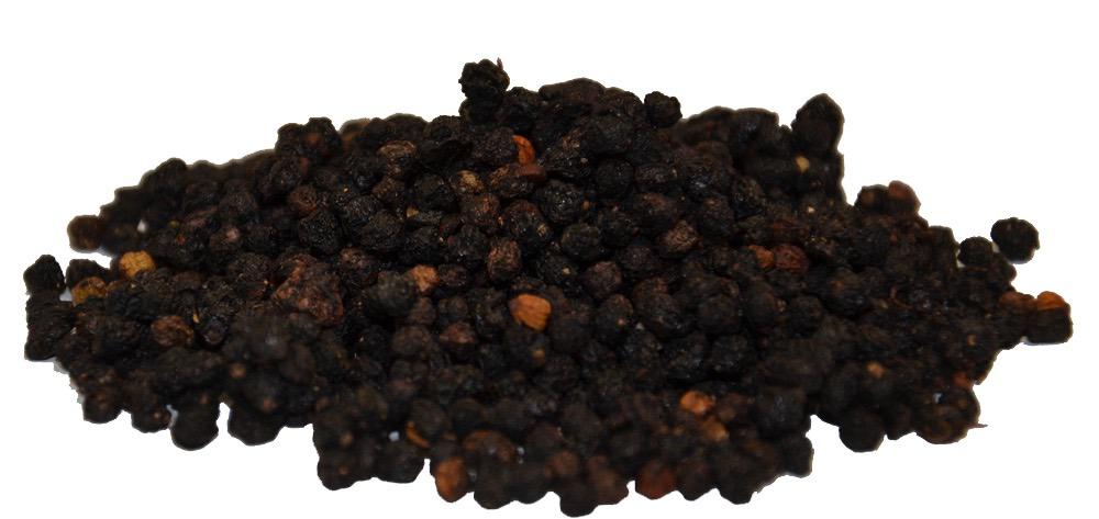 Holunderbeeren ganz