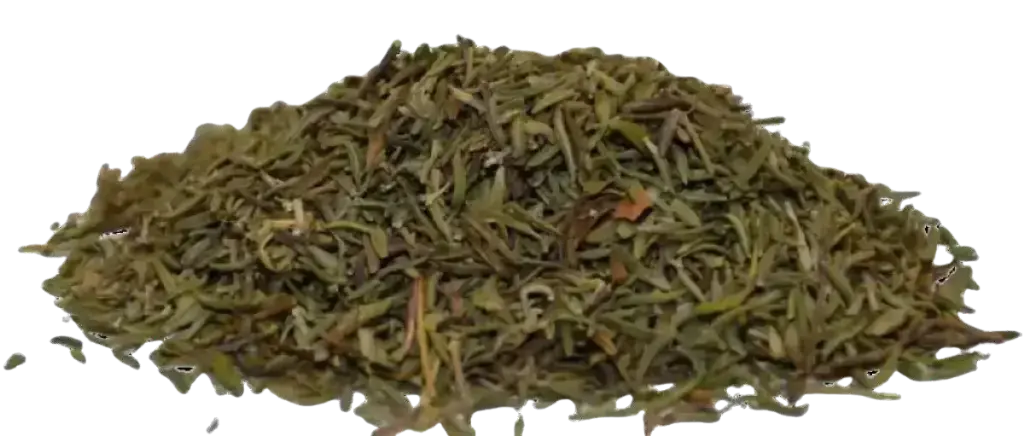 Thym en feuilles (Thymian gerebelt)