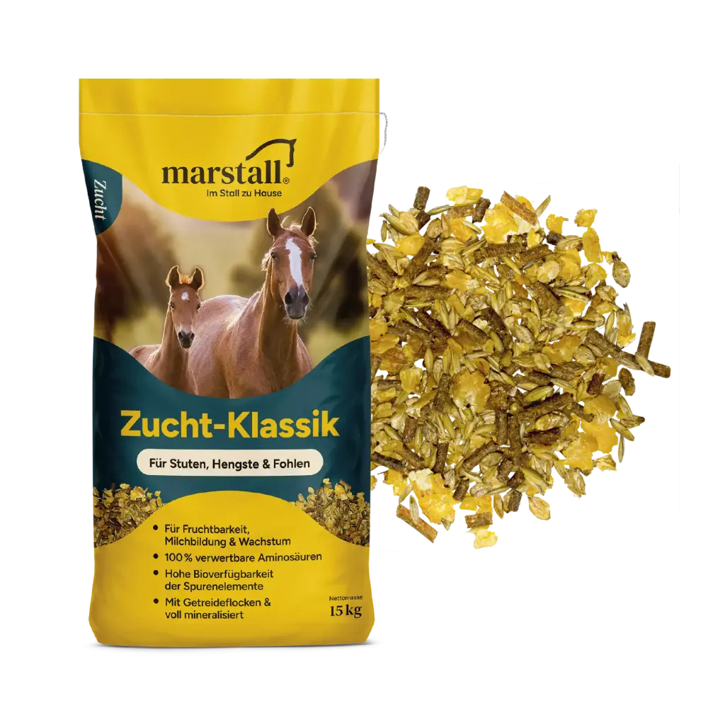 Zucht-Klassik