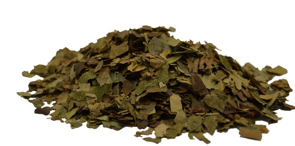 Feuilles de bouleau coupée (Birkenblätter geschnitten)