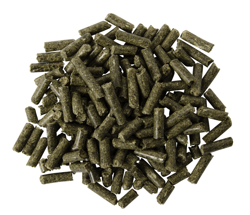 Pferdewürfel 4 mm