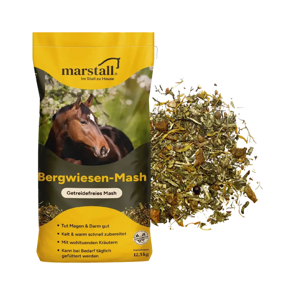 Bergwiesen Mash