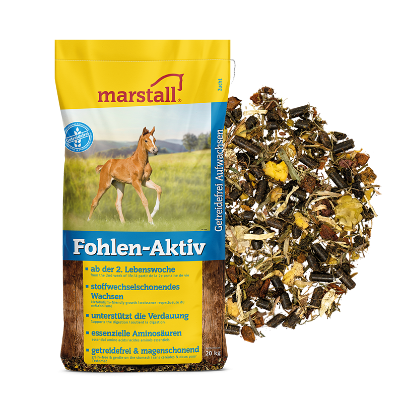 Fohlen-Aktiv