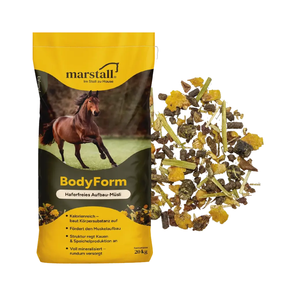 BodyForm-Müsli