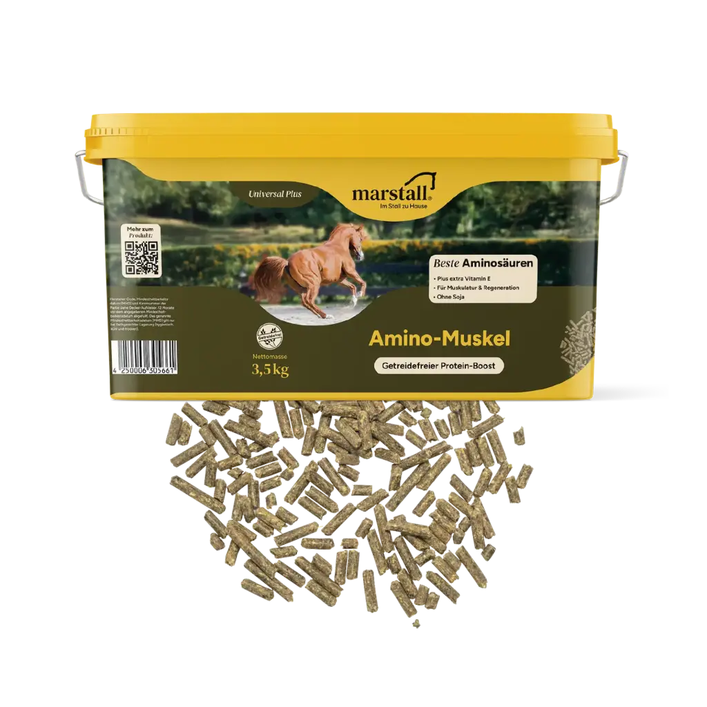 Amino-Muskel