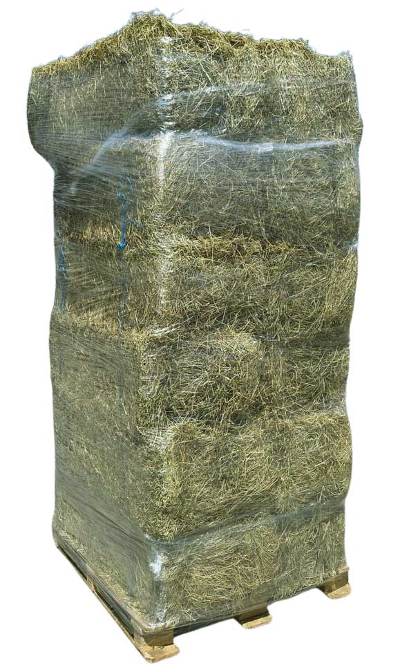 Foin (Heu (Frankreich))