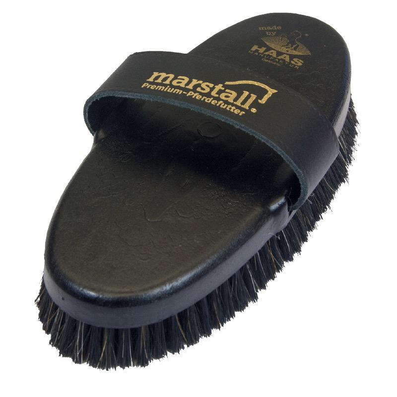 Brosse à cheval (Kardätsche Marstall)