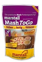 MashToGo