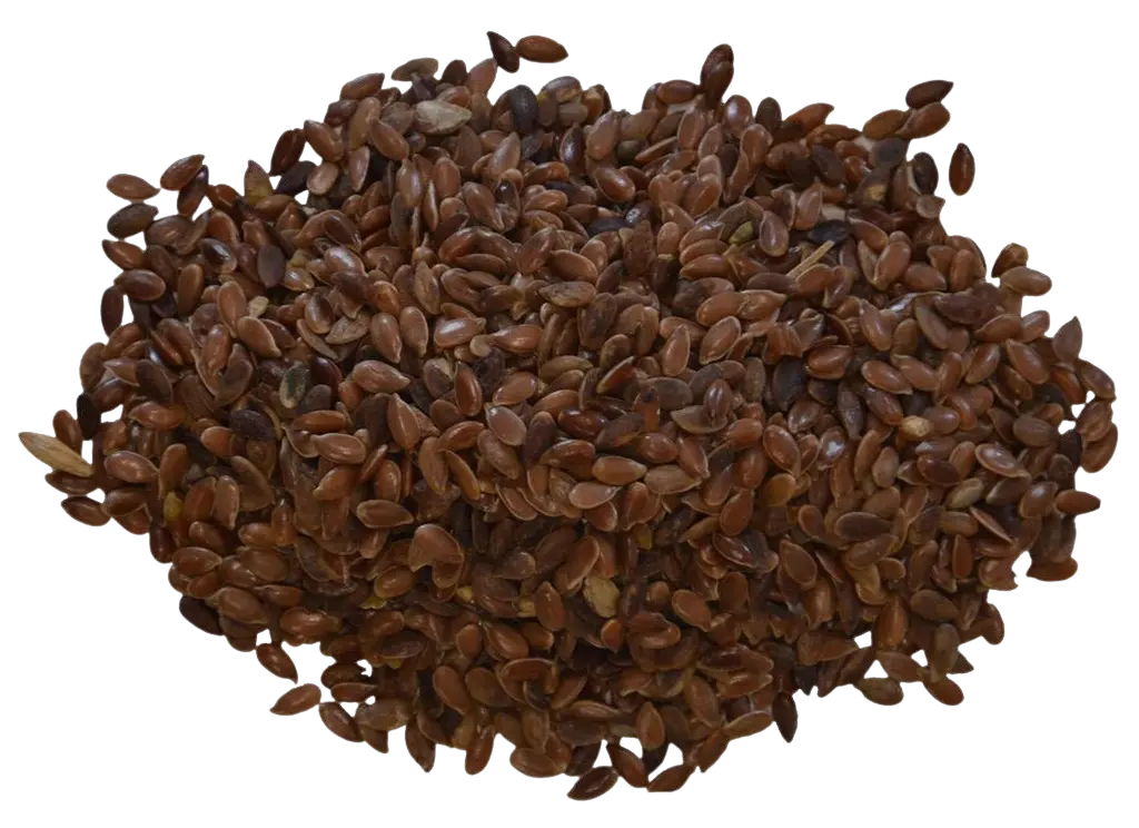 Leinsamen ganz (Kopie)