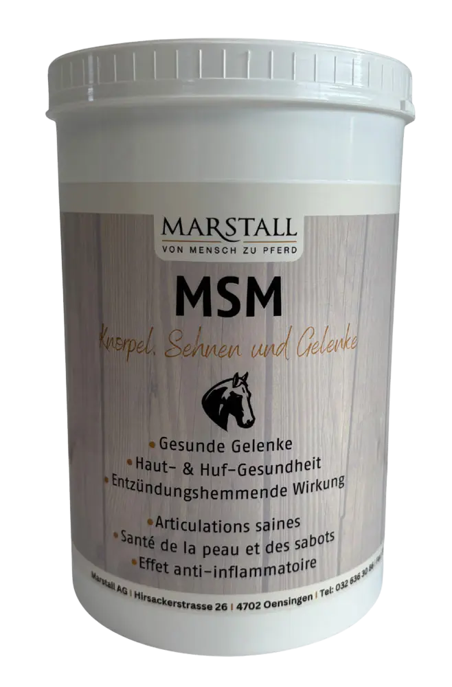 MSM