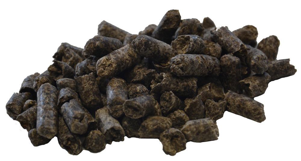 Bettraves sucrière en cube (Zuckerrüben-Würfel)