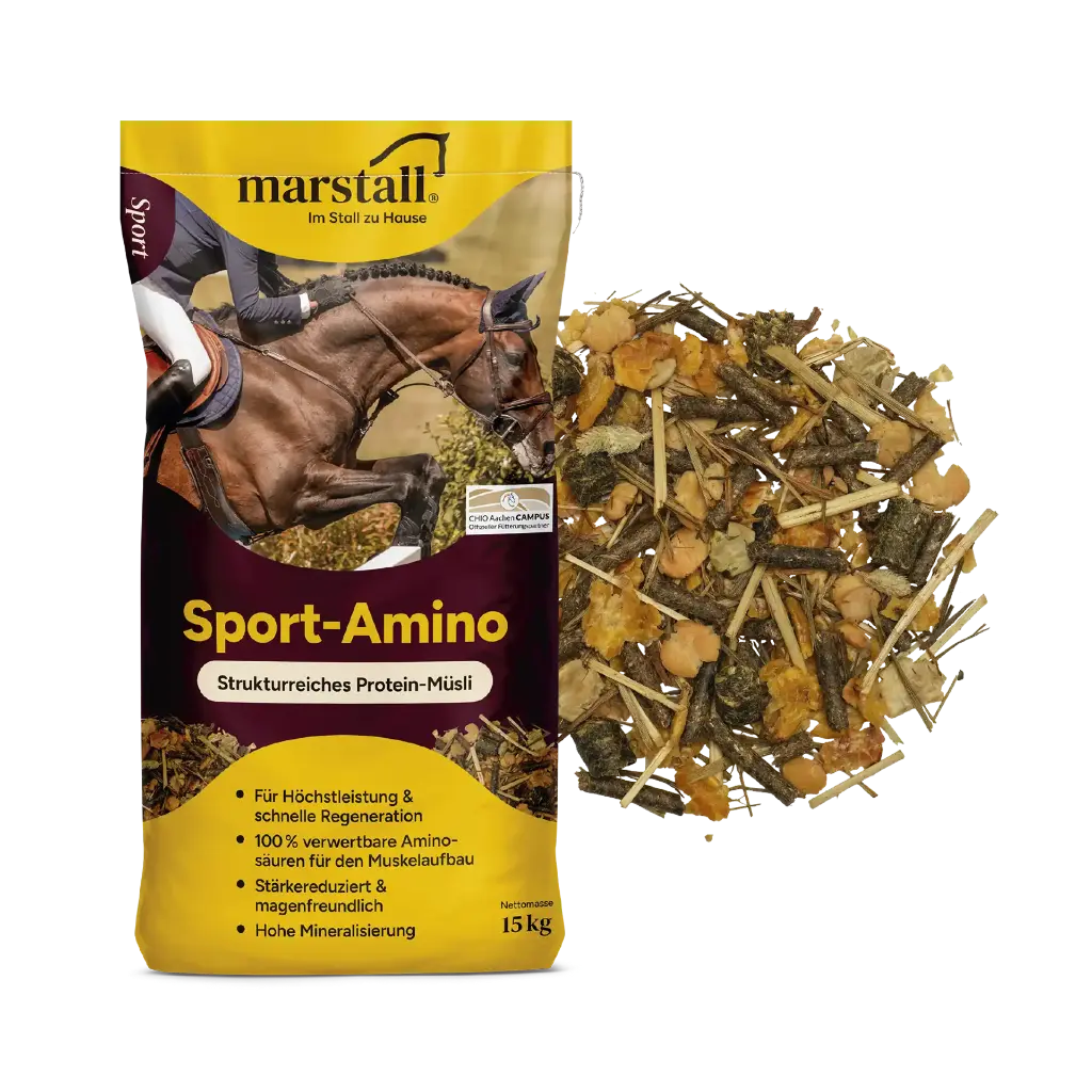 Sport Amino