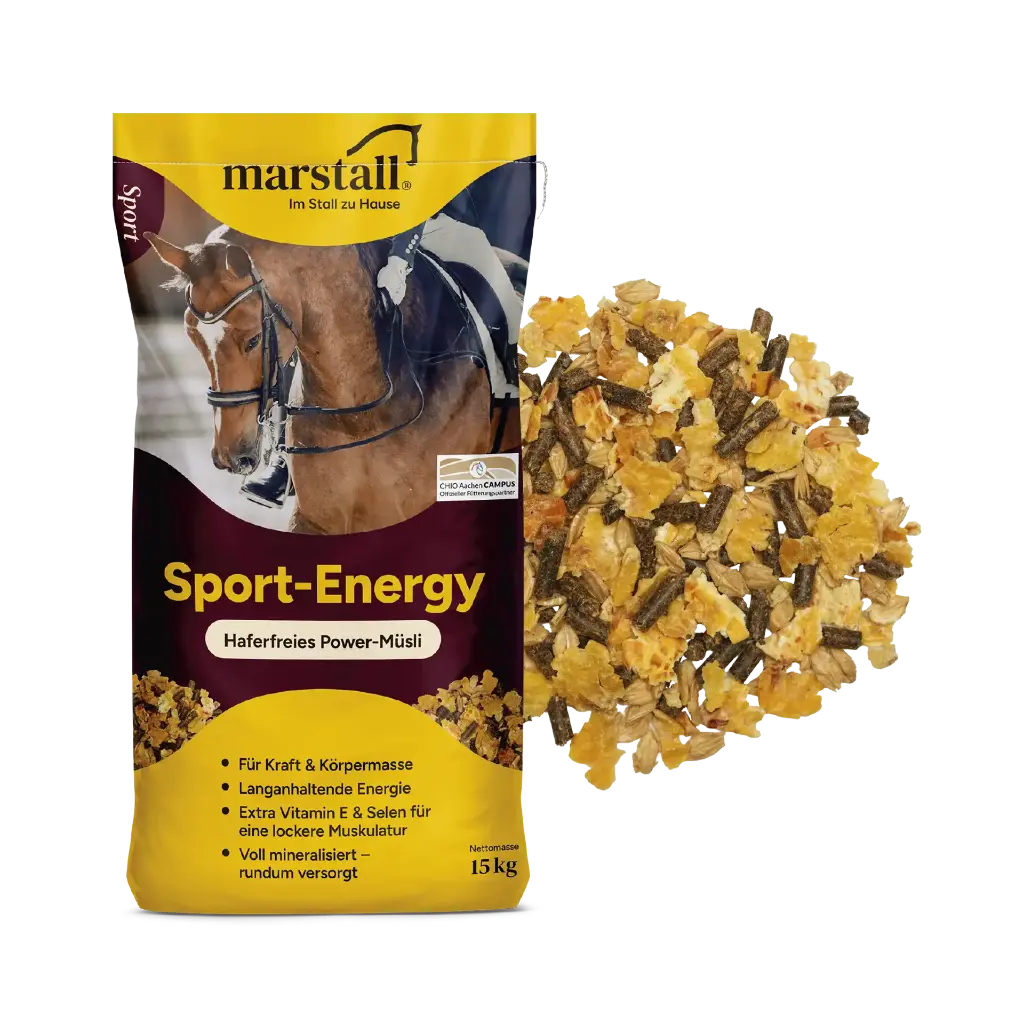 Sport Energy