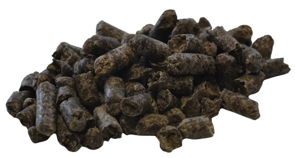 Bettraves sucrière en cube (Zuckerrüben-Würfel)