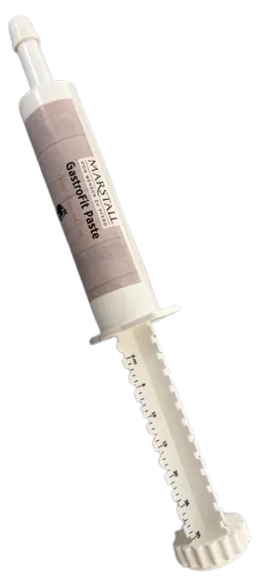 GastroFit Paste