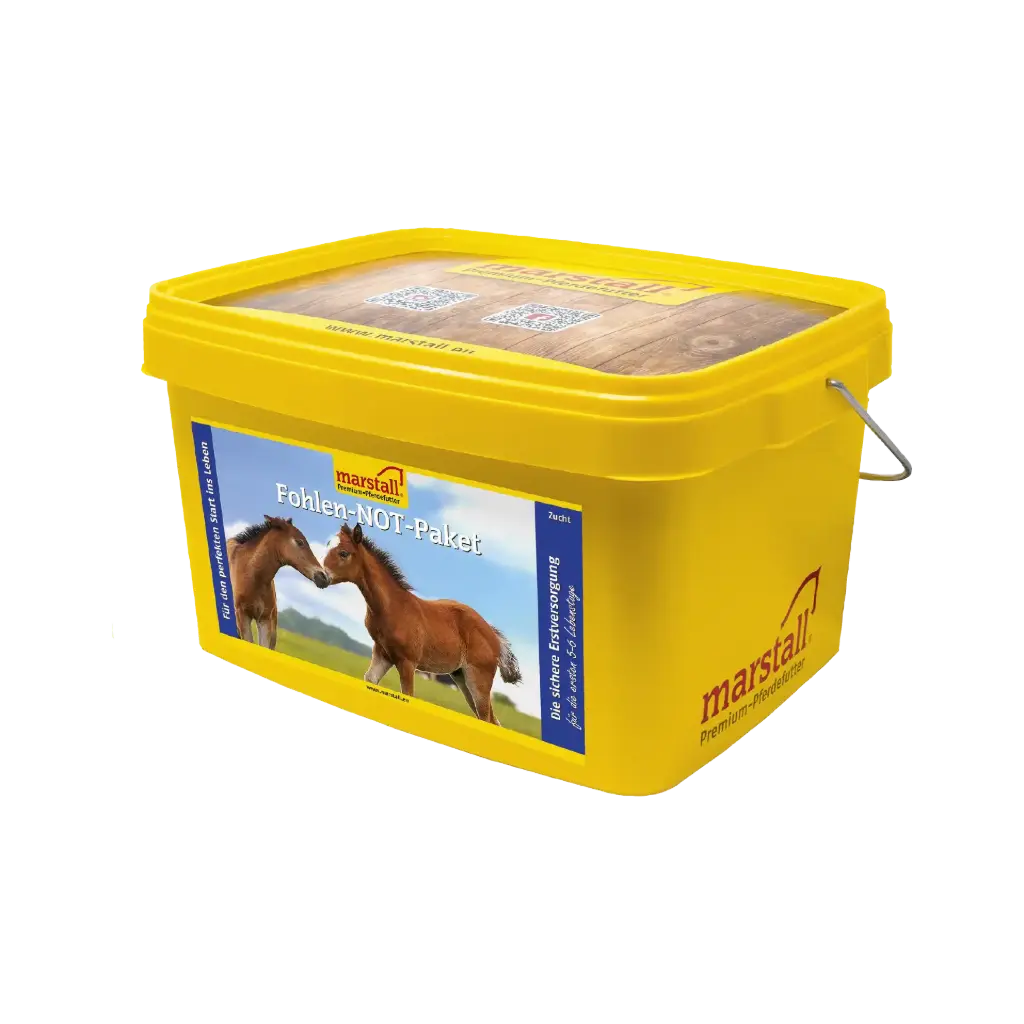 Fohlen-Not-Paket
