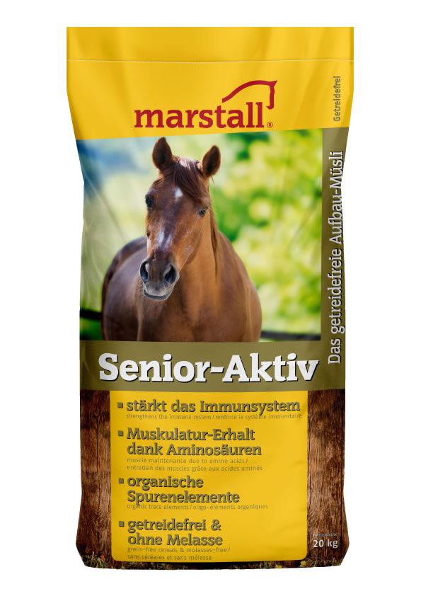 Senior -Aktiv