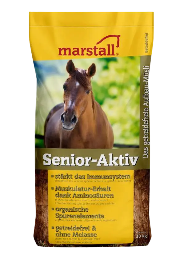Senior -Aktiv
