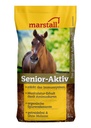 Senior -Aktiv