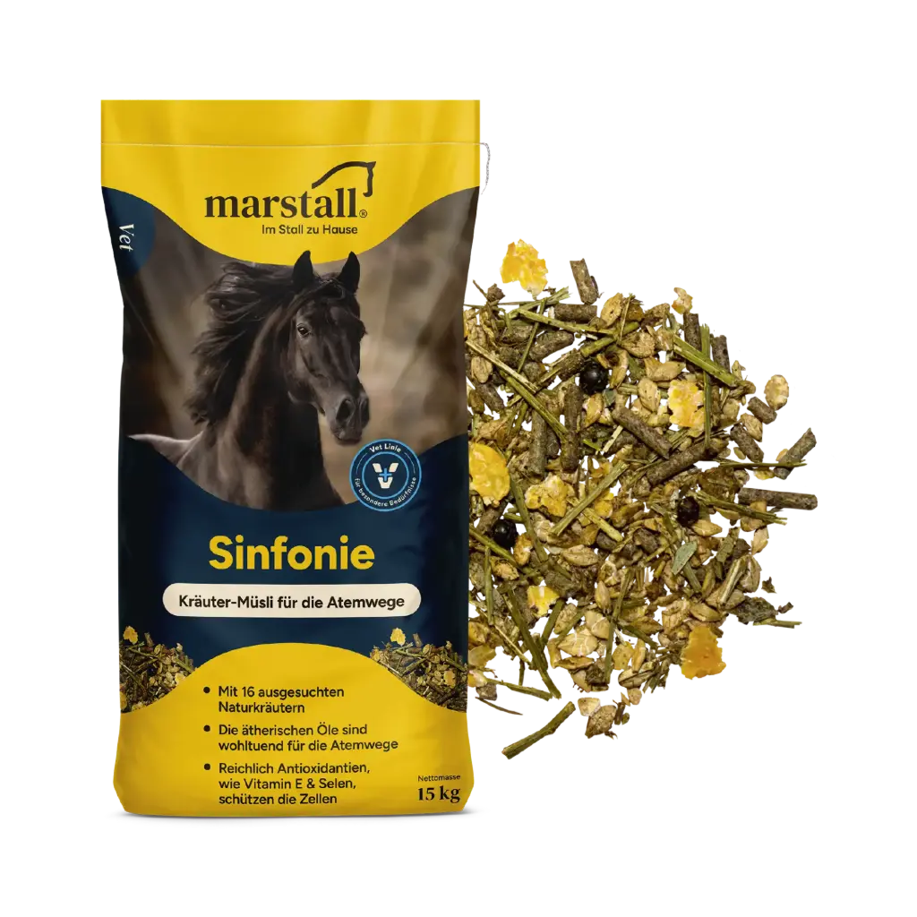 Sinfonie