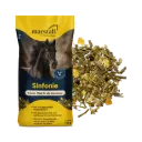 Sinfonie