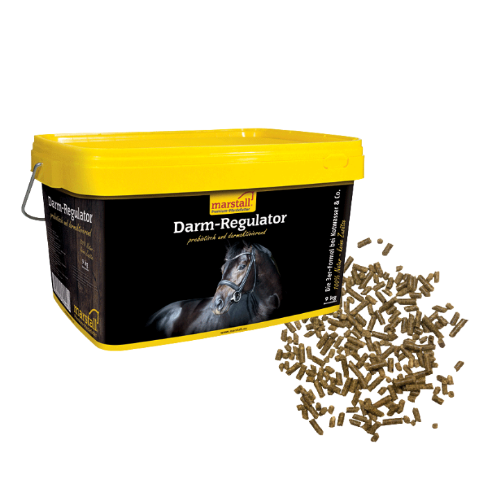 Darm-Regulator
