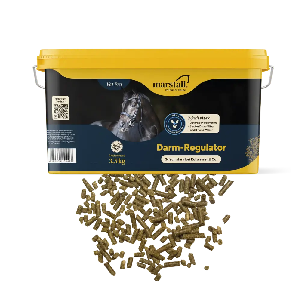 Darm-Regulator