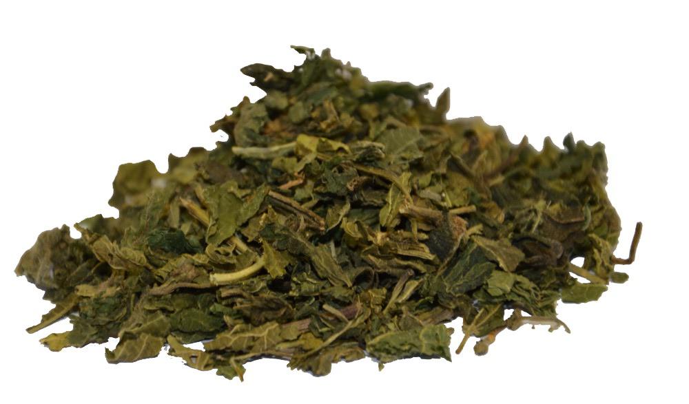 Feuilles d'ortie coupée (Brennnesselblätter geschnitten)