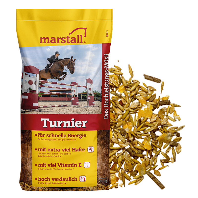 Turnier