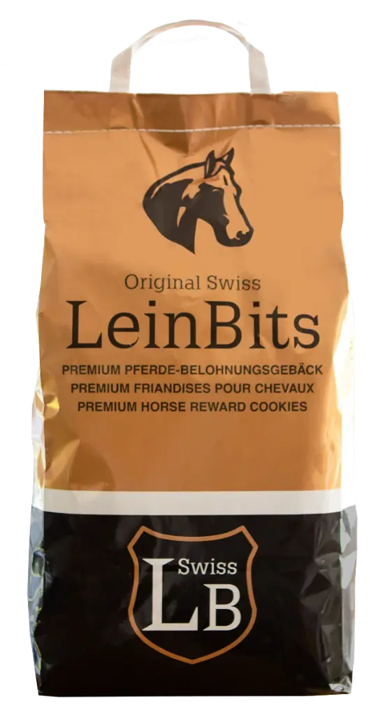 LeinBits