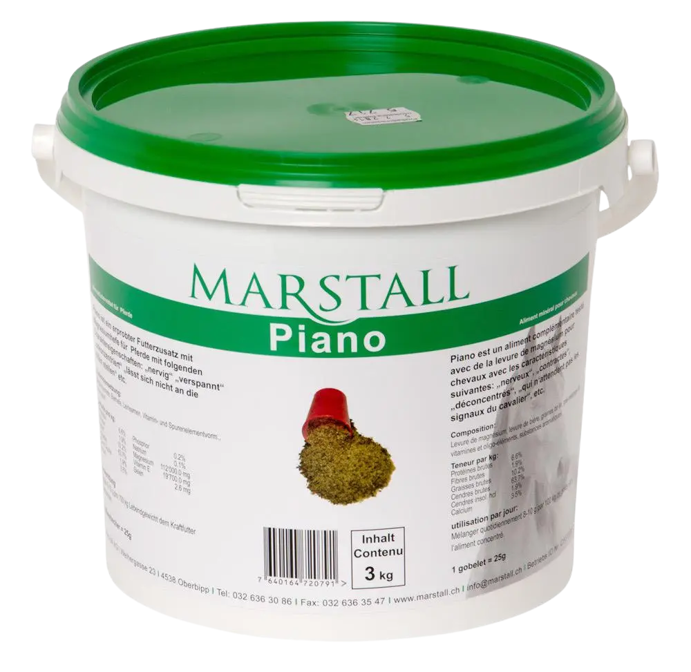 Piano, Magnesium-E&Se.