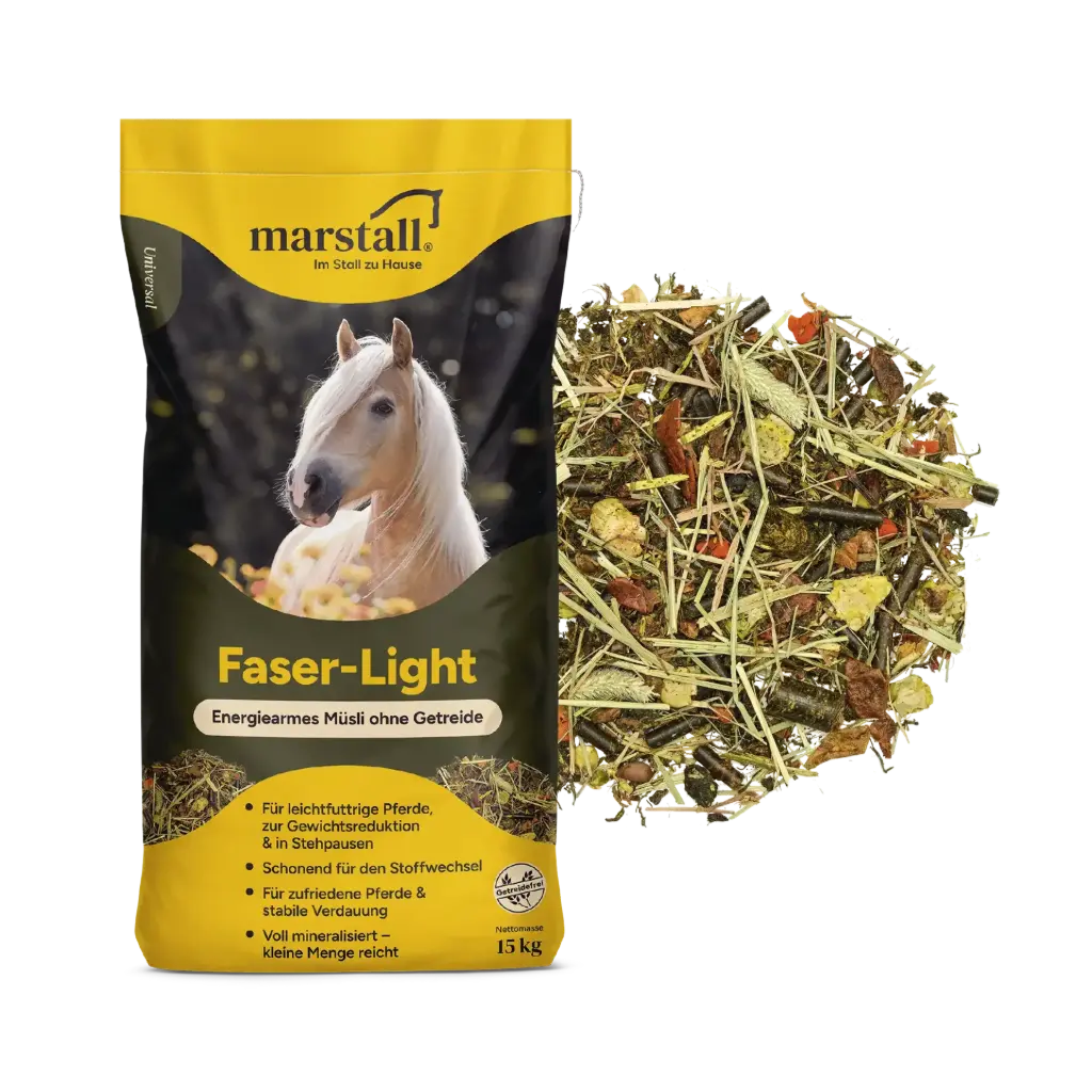Faser-Light