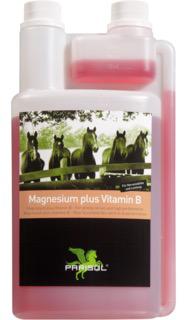 B&amp;E Magnesium plus Vit. B