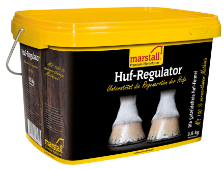Huf-Regulator