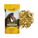 Freizeit