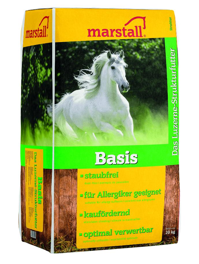 Basis-Struktur